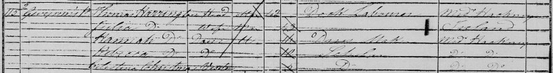 Julia Harrington in the 1851 census