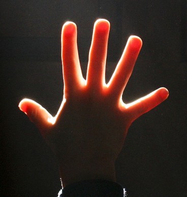 Hand showing five fingers